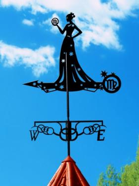 Флюгеры Знаки зодиака на плазме