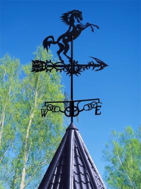 Флюгеры  на плазме Конь