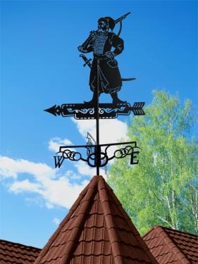 Флюгеры  на плазме Казак