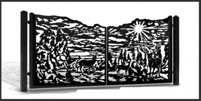 ворота на плазме