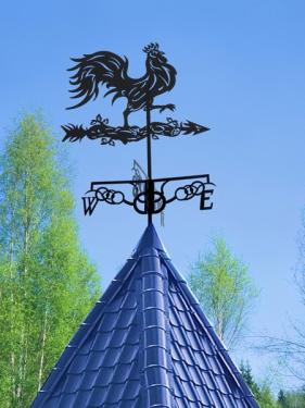 Флюгеры  на плазме Петух